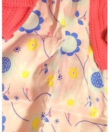 Birthday | ワンピース