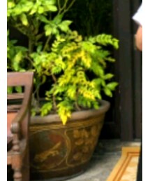 BEAUTY&YOUTH UNITED ARROWS | パンツ