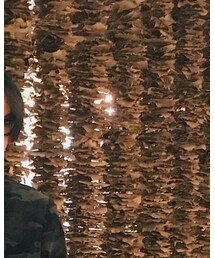 EFFECTOR | メガネ