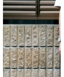 TIMEX | アナログ腕時計