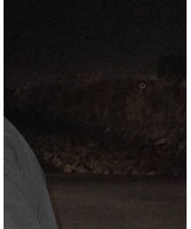 off white | キャップ