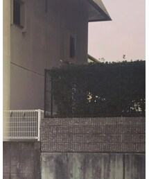 halotokyo | タンクトップ