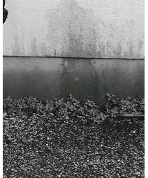 Yeezy | スニーカー