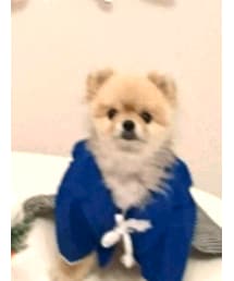 ポンポリース | 浴衣