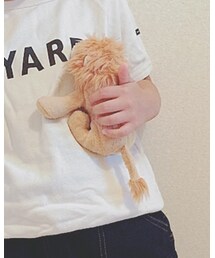 🦁🦁🦁 | おもちゃ