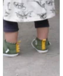 CONVERSE | ベビーシューズ/ベビーソックス