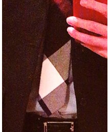 BLACK LABEL CRESTBRIDGE | ネクタイ