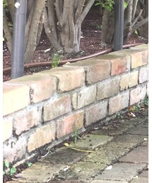 CIAOPANIC TYPY | バレエシューズ