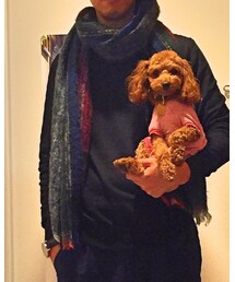 UNIQLO | ニット/セーター