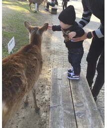しまむら | ママ＆ベビー