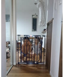 無期懲役ごっこ | その他