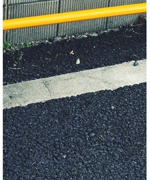 X-girl | シャツ/ブラウス