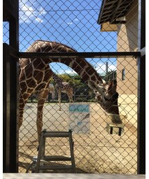 京都動物園 | その他