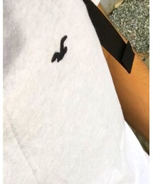 Hollister | Tシャツ/カットソー