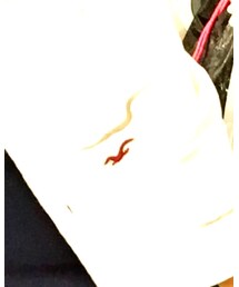 Hollister | シャツ/ブラウス