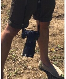 Canon | カメラ/カメラグッズ