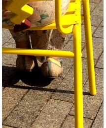 F i.n.t | パンプス