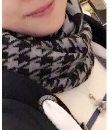 UNKNOWN. | マフラー