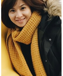 ReNorm | マフラー