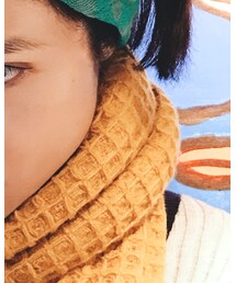 ReNorm | マフラー