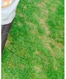 コストコ | その他パンツ