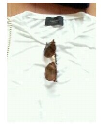 IENA | ファッション雑貨