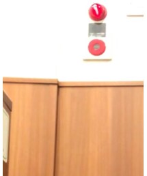 RAGEBLUE | Tシャツ/カットソー