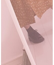 靴下屋 | ソックス/靴下