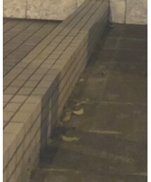 古着 | トップス