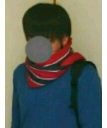 LACOSTE | マフラー