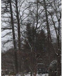 GU | スウェット