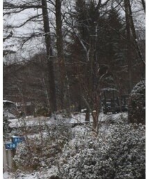 3coins | ピアス（両耳用）