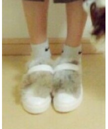 DHOLIC | スニーカー