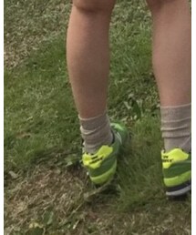 靴下屋 | ソックス/靴下