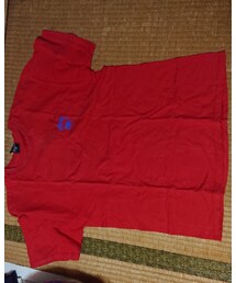STUSSY | Tシャツ/カットソー