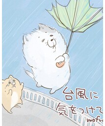 台風に気をつけてね😸 | その他