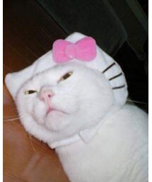 仕事疲れでぐったり中の俺::_(　_´ω`)_::ﾌﾟﾙﾌﾟﾙ | その他