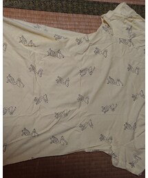 ZARA | Tシャツ/カットソー