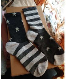 campion | ソックス/靴下