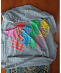 STUSSY | Tシャツ/カットソー