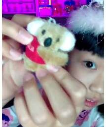 ｺｱﾗ🐨 | その他