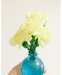 🏵 | フラワーベース