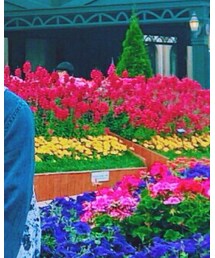 H&M | シャツ/ブラウス