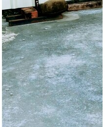 Dr. Martens | シューズ