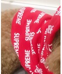 Supreme (シュプリーム)の「オールインワン・サロペット(つなぎ/オールインワン)」