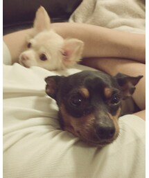 かわいい💖 | その他