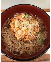 🔸今夜の立ちそば🍜 | 🔸おくとね(新橋) 天ぷらそば 450円(その他)