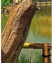 LE CIEL BLEU | Tシャツ/カットソー