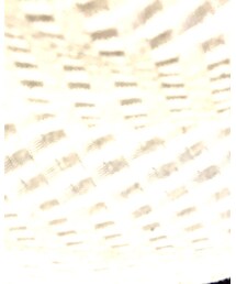 HERE'S | Tシャツ/カットソー