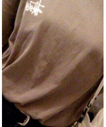 STUSSY | Tシャツ/カットソー